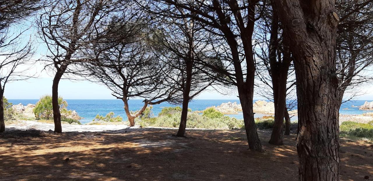 Mare Natura Confort... Il Mio Paradiso In Sardegna Isola Rossa Exterior photo